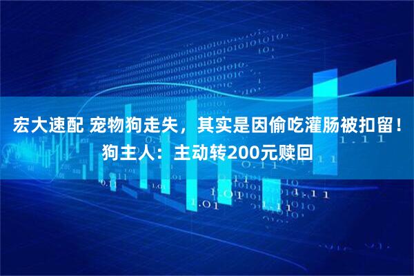 宏大速配 宠物狗走失，其实是因偷吃灌肠被扣留！狗主人：主动转200元赎回