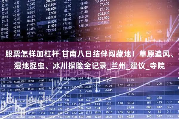 股票怎样加杠杆 甘南八日结伴闯藏地！草原追风、湿地捉虫、冰川探险全记录_兰州_建议_寺院