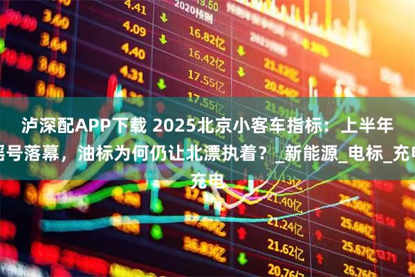 泸深配APP下载 2025北京小客车指标:上半年摇号落幕,油标为何仍让北漂执着?_新能源_电标_充电