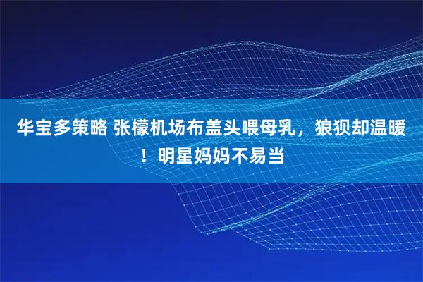 华宝多策略 张檬机场布盖头喂母乳,狼狈却温暖!明星妈妈不易当